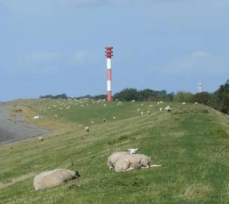Eul F 5 Mit Wintergarten Im Eckwarderhörne *